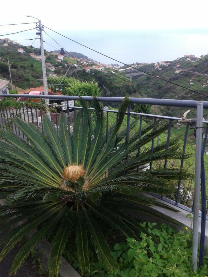 Apartamento Barros Estreito de Câmara de Lobos Exterior foto